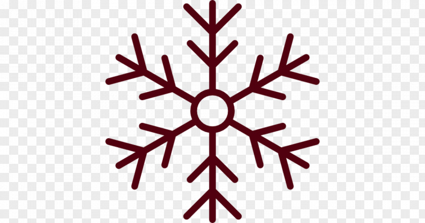 Snowflake Illustration PNG