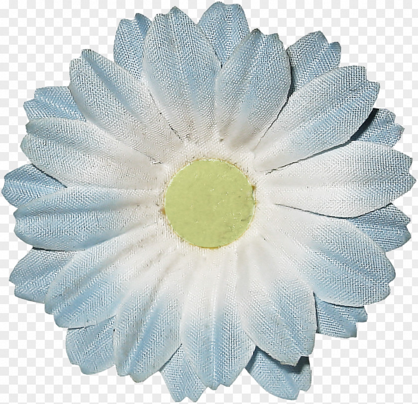 Transvaal Daisy Cut Flowers Petal PNG