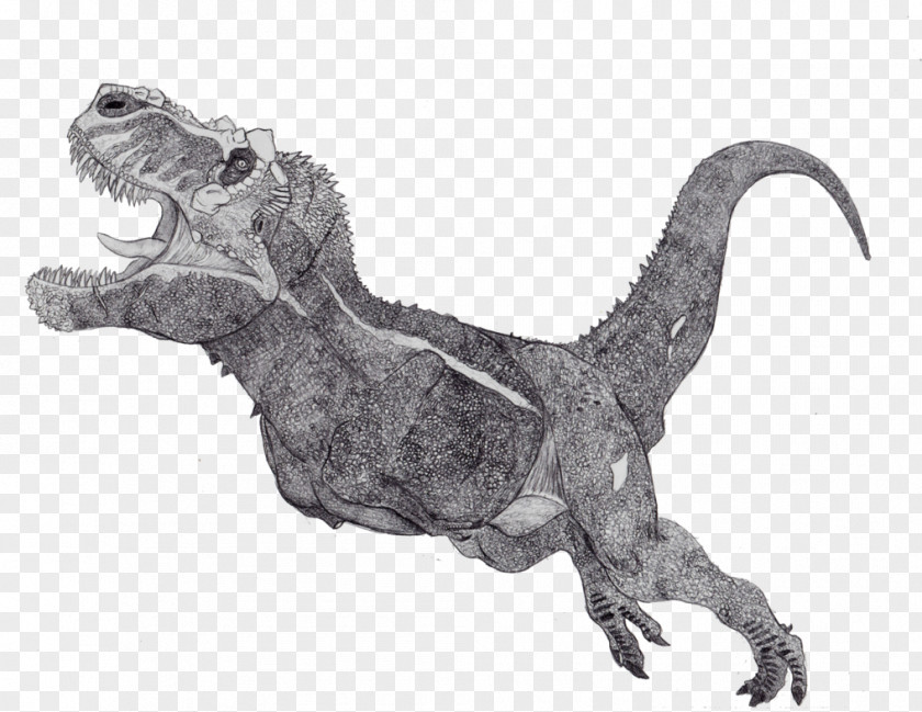 Tyrannosaurus Dinosaur King Guanlong Triceratops Velociraptor PNG