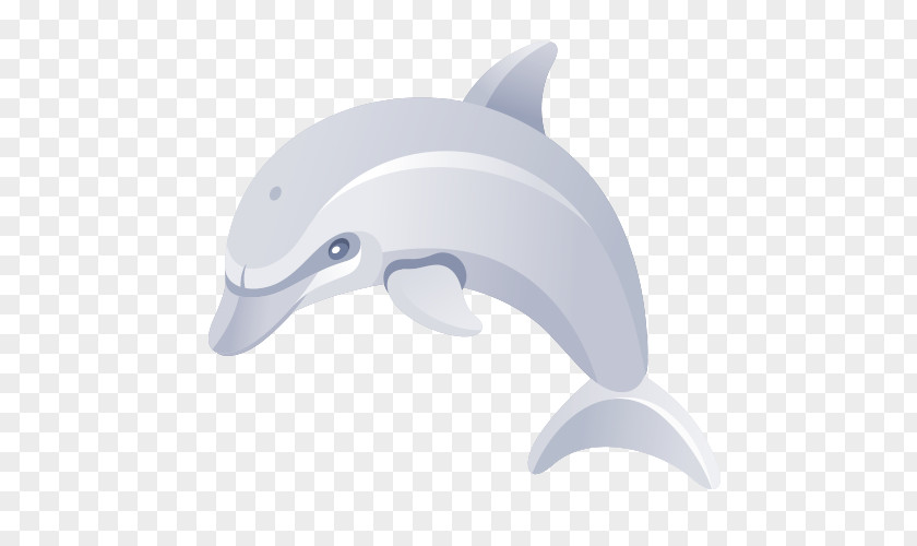 Cartoon Dolphins Common Bottlenose Dolphin Short-beaked Tucuxi PNG