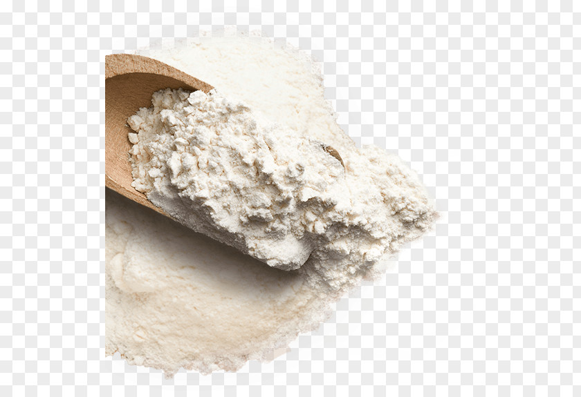 Flour Wheat Design PNG