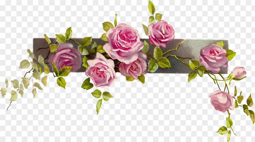 Flower Clip Art Borders And Frames Rose PNG