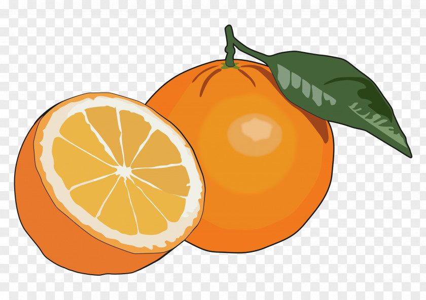 Orange Colour Fog Juice Fruit Mandarina Food PNG