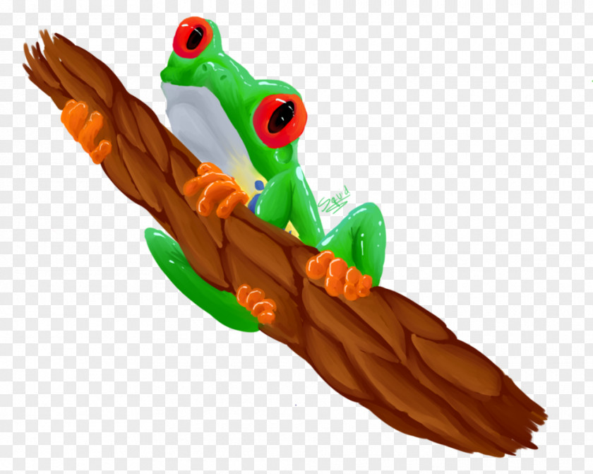 Red-eyed Tree Frog GAL-TAN PNG
