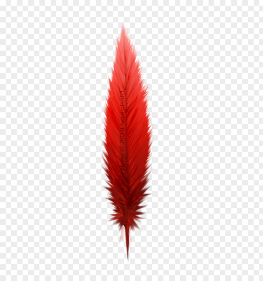 Red Feather Leaf Northern Cardinal PNG