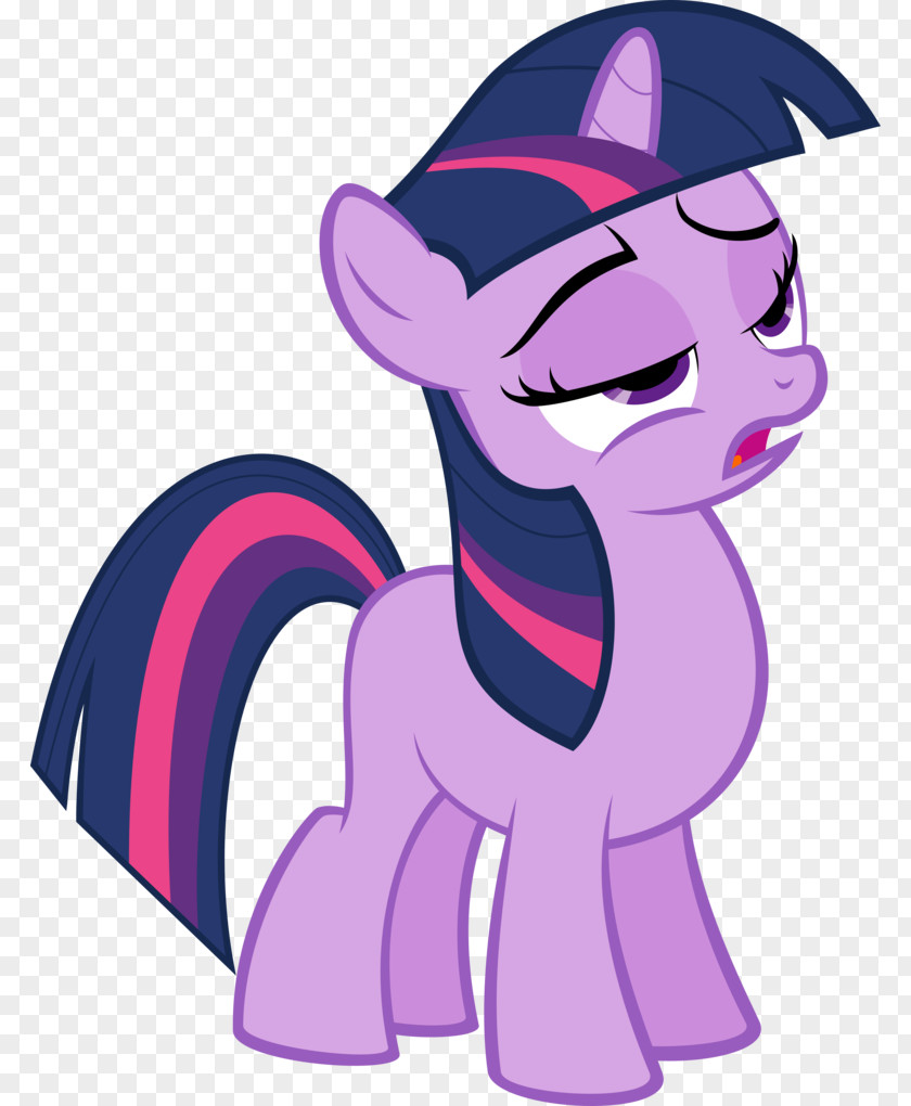 Sparkle Twilight Rarity Pinkie Pie Pony Rainbow Dash PNG
