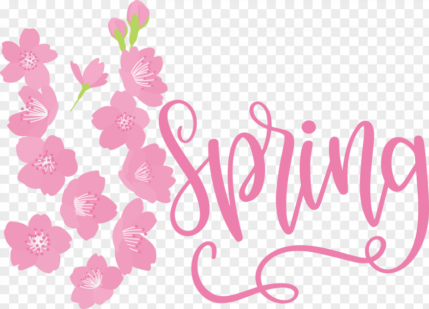 Spring PNG