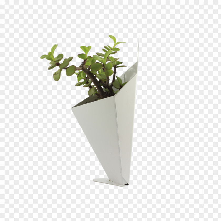 Table Decoration Flowerpot Wall Houseplant PNG