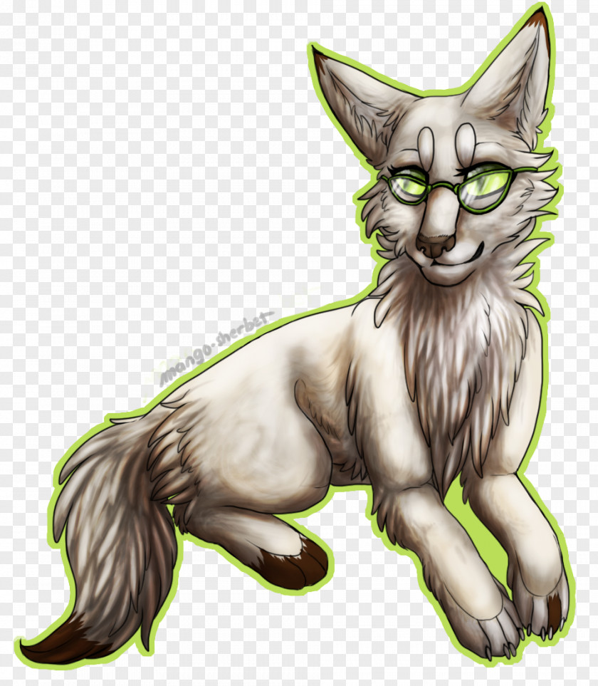 Cat Whiskers Wildcat Tabby Dog PNG
