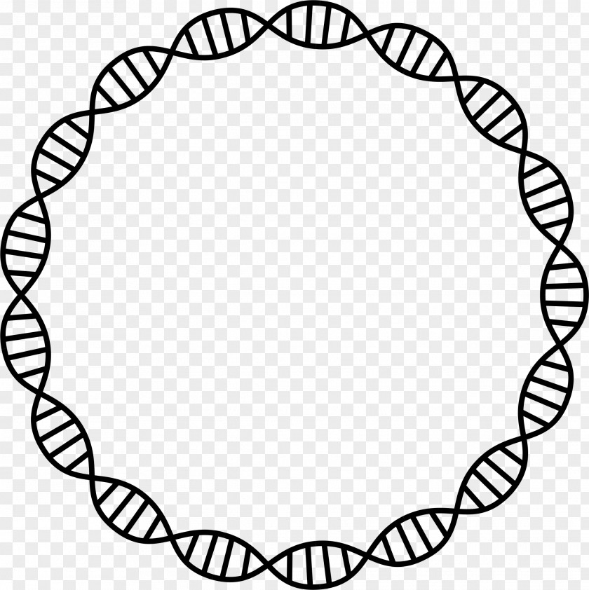 DNA Nucleic Acid Double Helix Cell Clip Art PNG