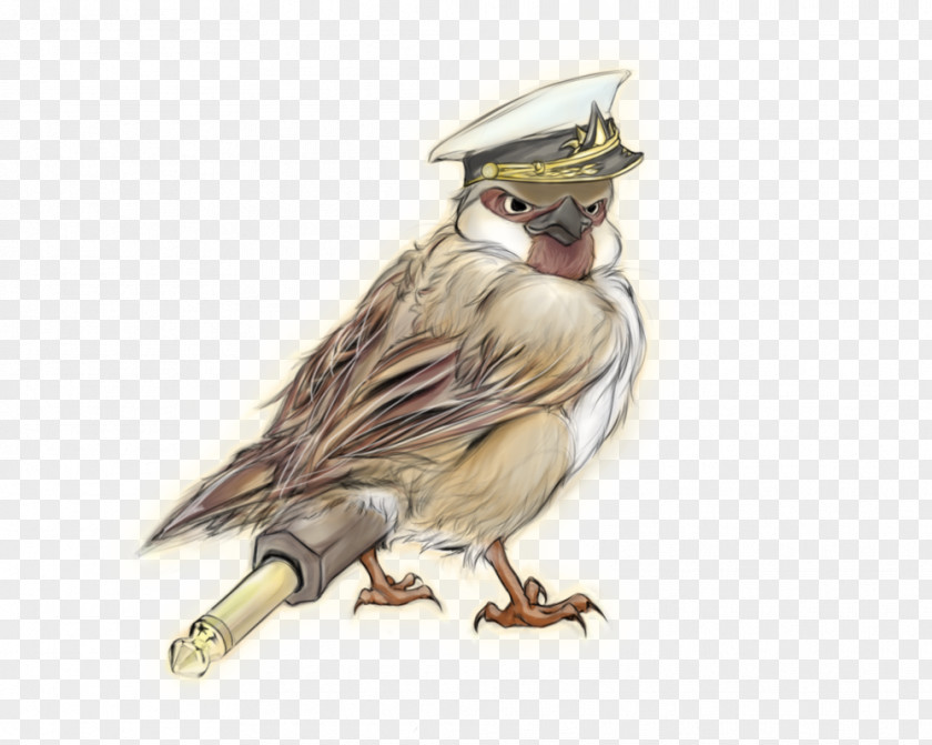 Sparrow Bird Lark Beak Feather Fauna PNG