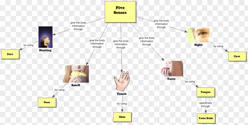 The Five Senses Graphic Organizer Concept Map Hearing PNG