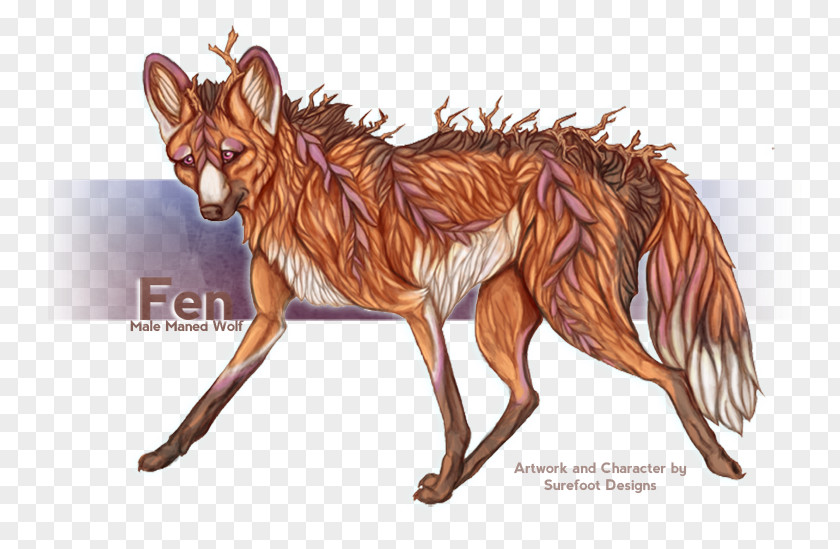 Animal Figure Liver Fox Drawing PNG