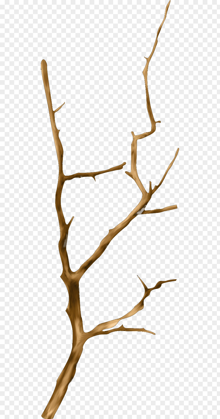 Driftwood Insignia Mari Cruz Vg Twig Email GIF PNG