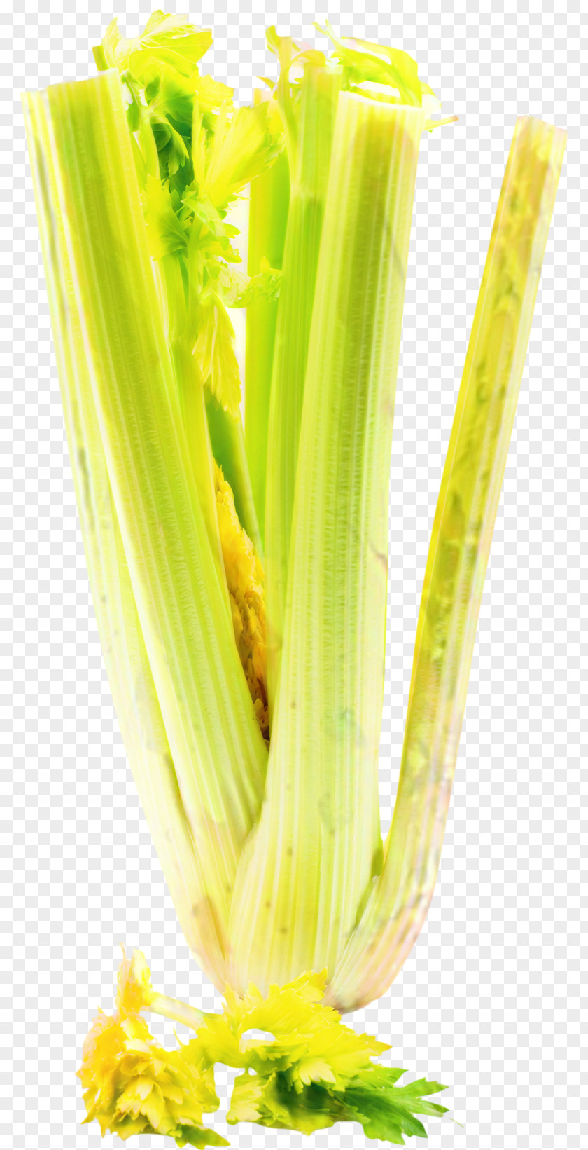 Leaf Vegetable Corn Cartoon PNG