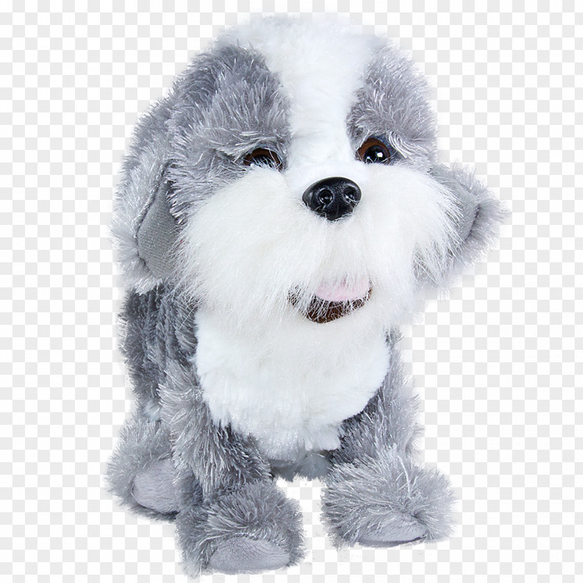 Puppy Beagle Shih Tzu Dog Paddle Grey PNG