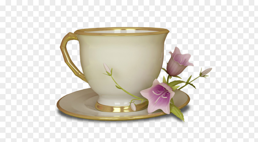 Tea White Teacup Coffee Saucer PNG