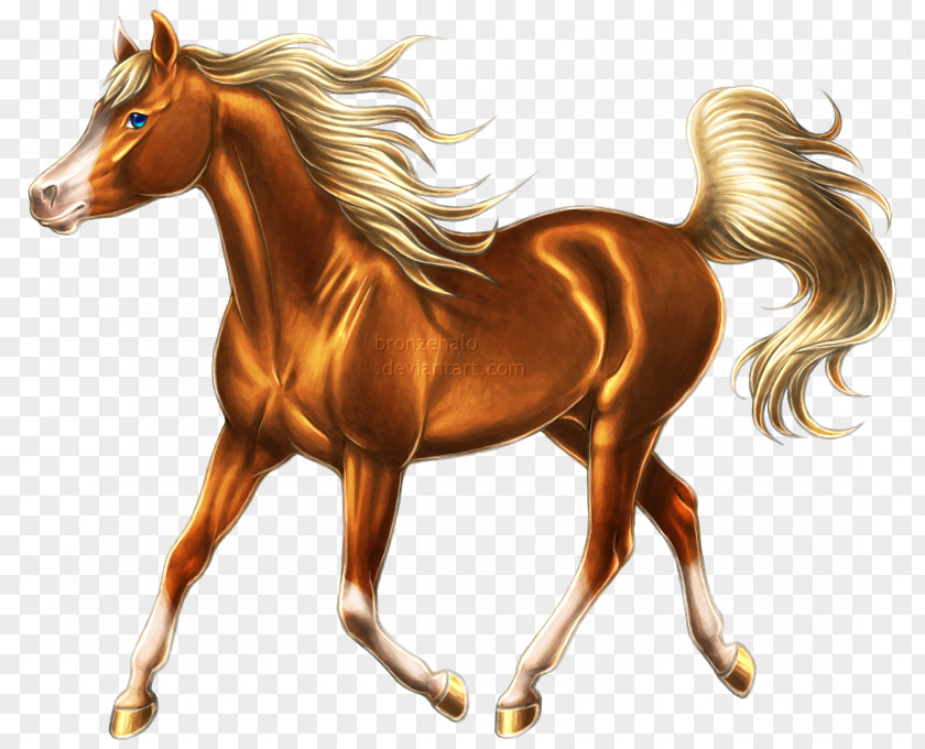 Arab Arabian Horse Mustang Stallion Pony Colt PNG