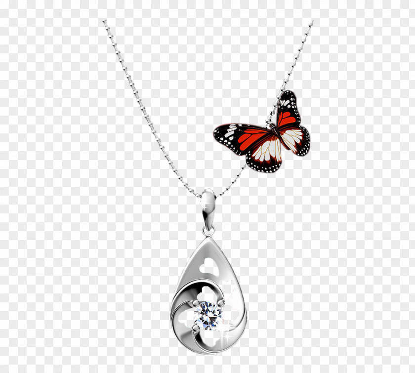 Butterfly Necklace Locket Earring PNG