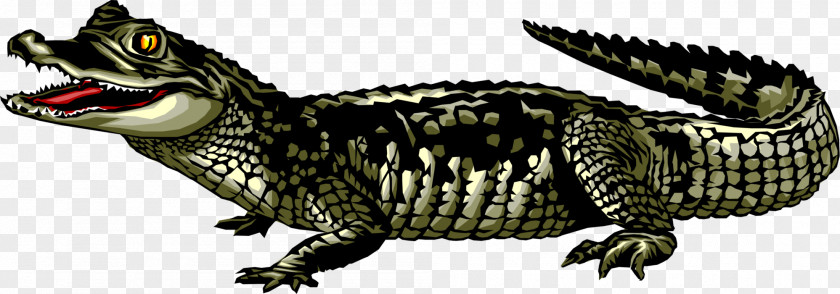 Claw Scaled Reptile Alligator Cartoon PNG
