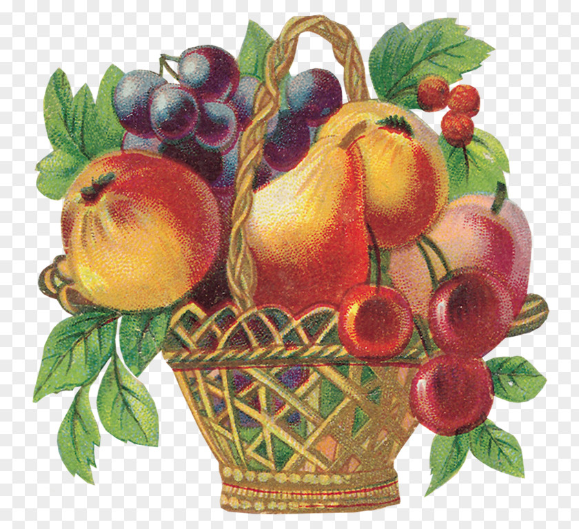 DV Food Fruit Painting Bokmärke PNG