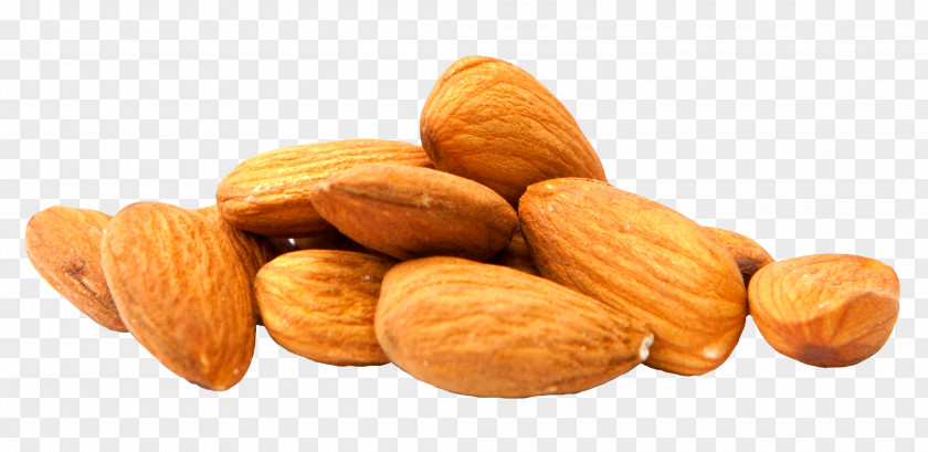 Food Almond Milk Nut Clip Art PNG