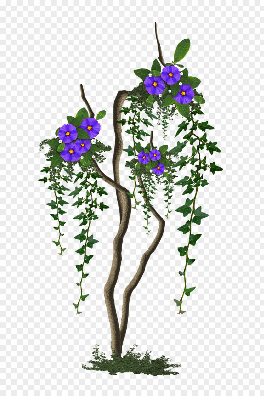 Lilac Flower Tree Floral Design Branch PNG