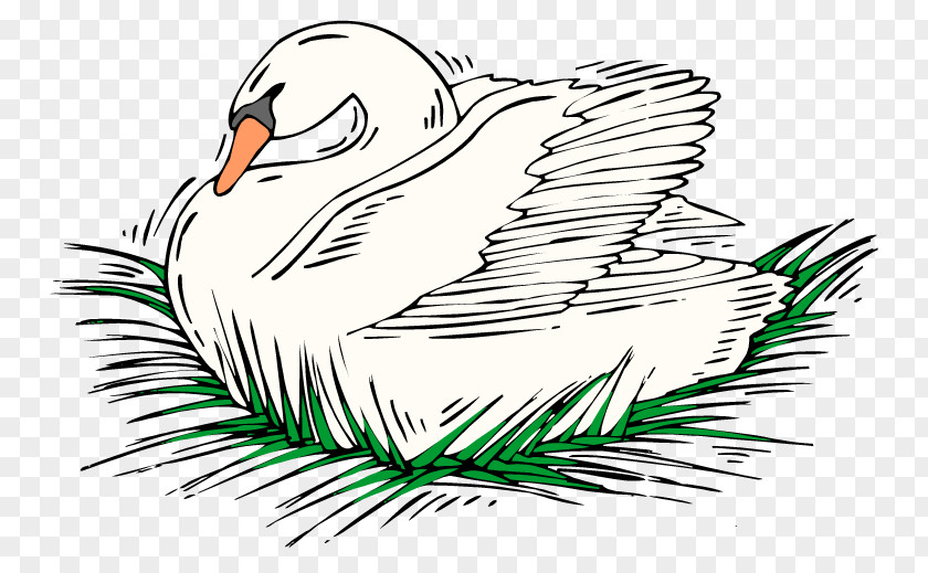 Swan Lake Duck Clip Art PNG