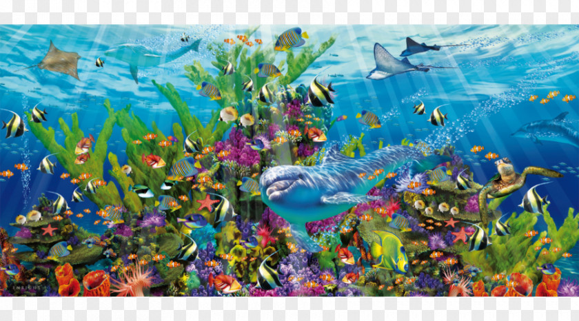 Toy Jigsaw Puzzles Coral Reef Educa Borràs Game PNG