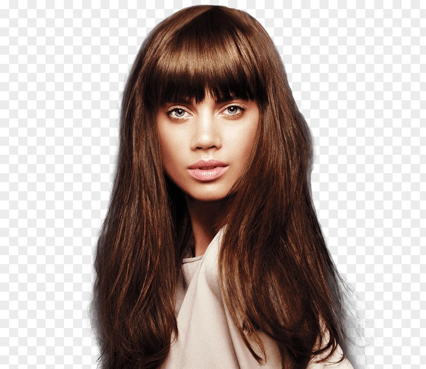 Hair Human Color Coloring Brown Hairstyle PNG