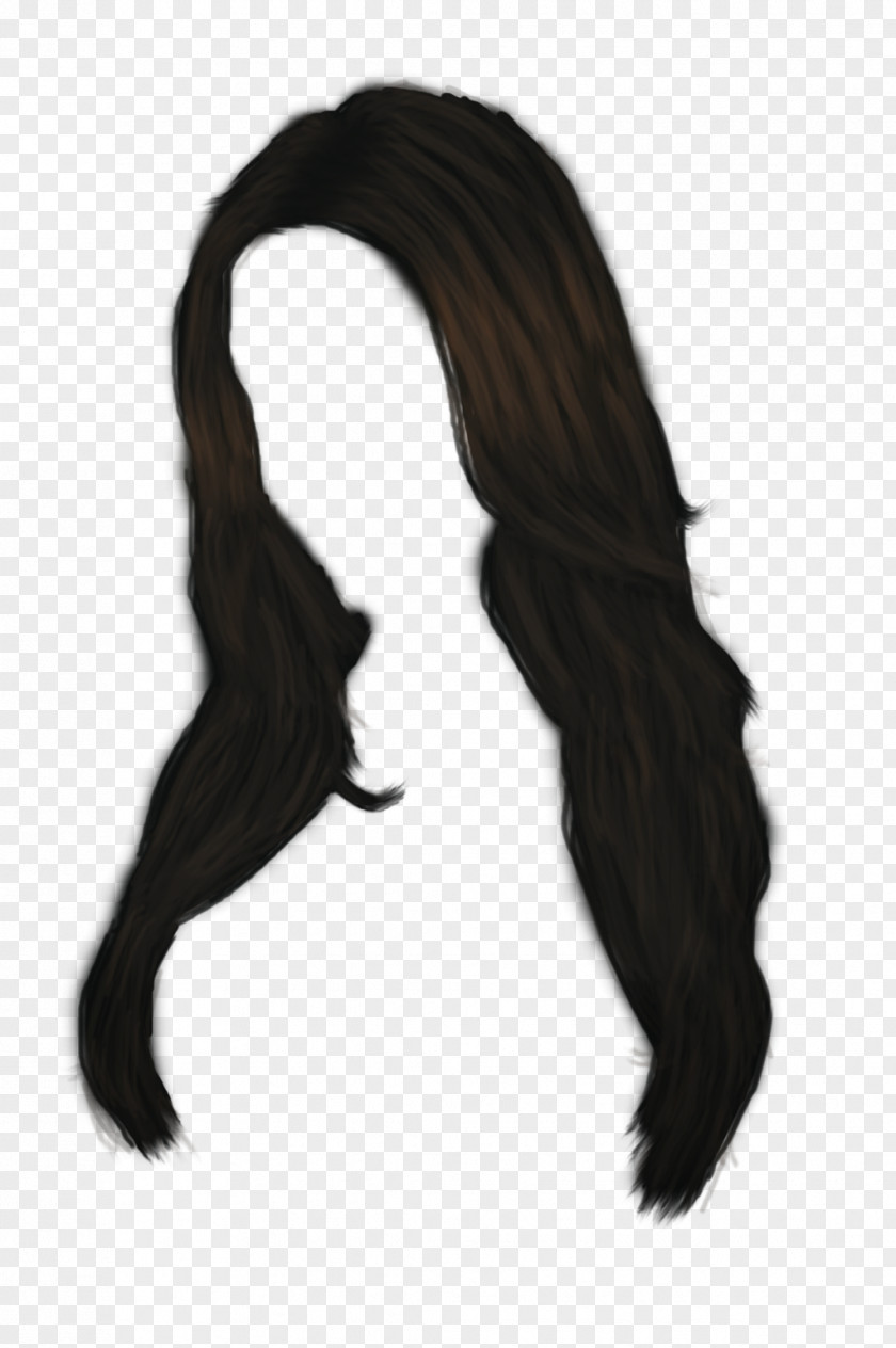 Hairs Black Hair Long Clip Art PNG