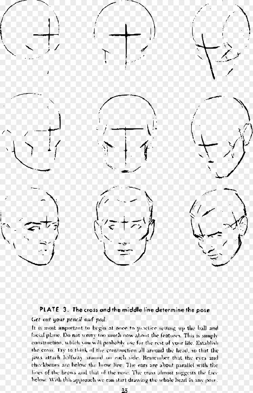 Nose Drawing The Head And Hands Anatomy Sketch PNG