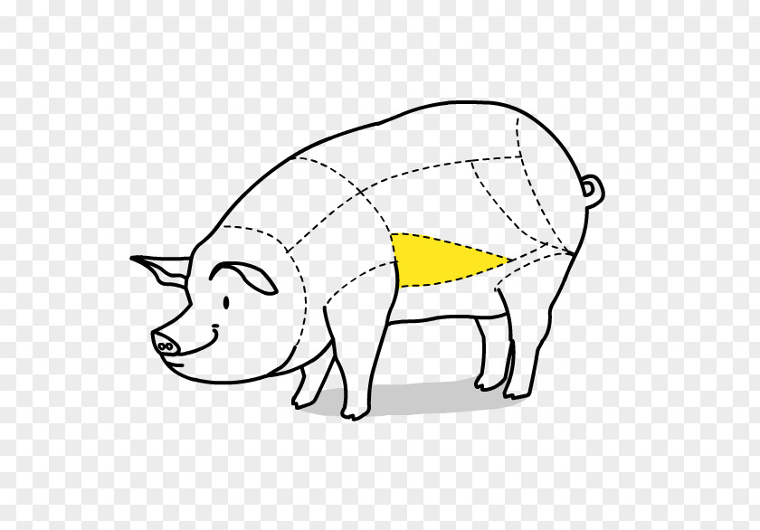 Pig Galbijib Drawing Clip Art PNG