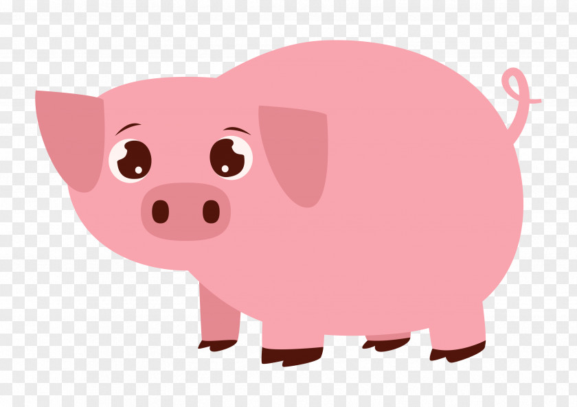 Pig Illustration Vector Graphics Royalty-free Photograph PNG