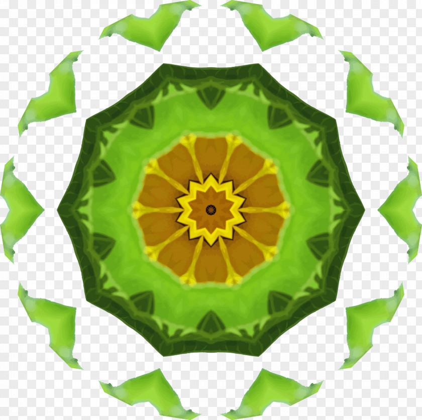 Sunflower Green Flowering Plant Leaf PNG