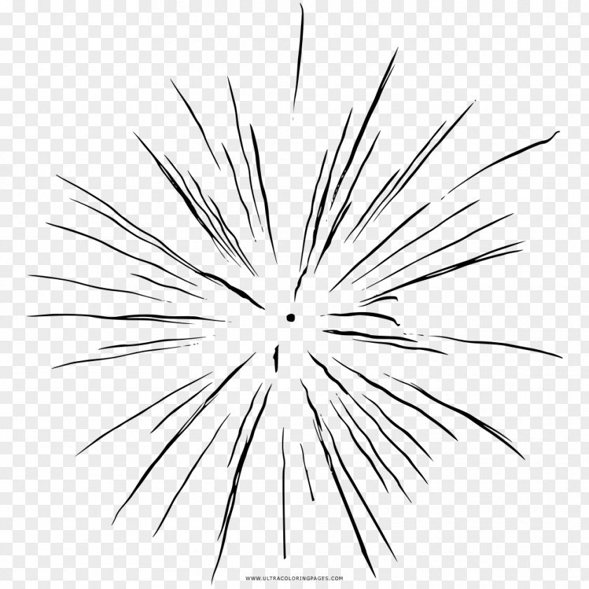 Fireworks Line Art Drawing Coloring Book Black And White PNG