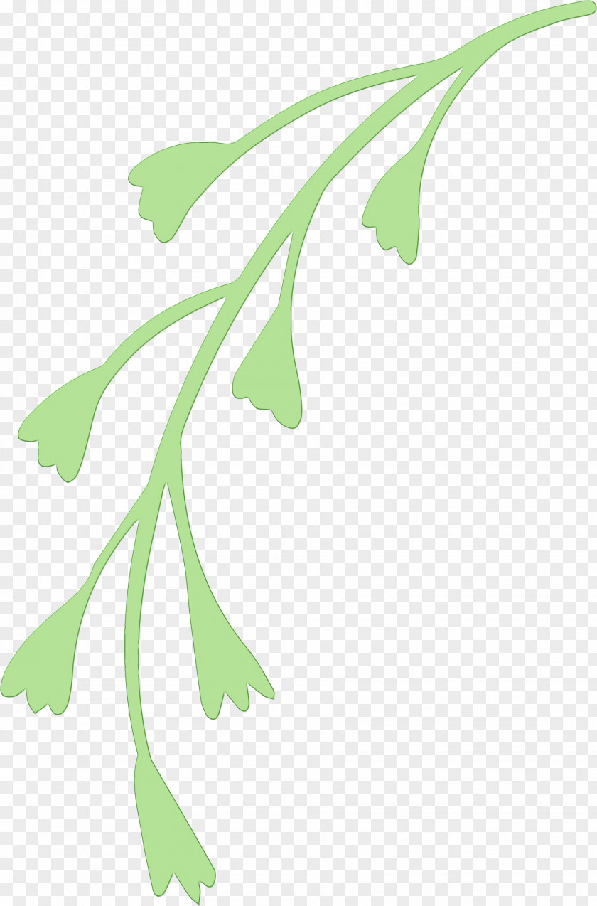 Plant Stem Leaf Flower Green Line PNG