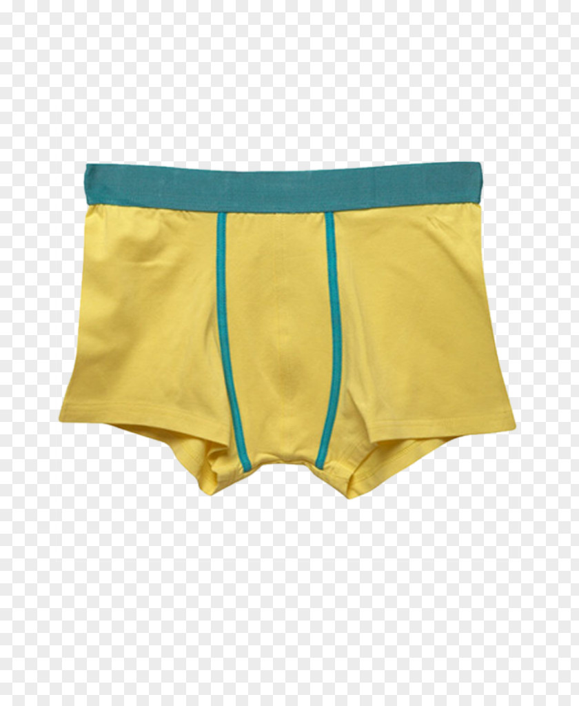 Swim Briefs JJ Softwear Underpants Trunks PNG