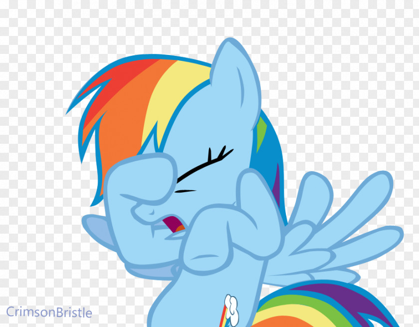 Unicorn Face Rainbow Dash Pony Pinkie Pie Sunset Shimmer Derpy Hooves PNG