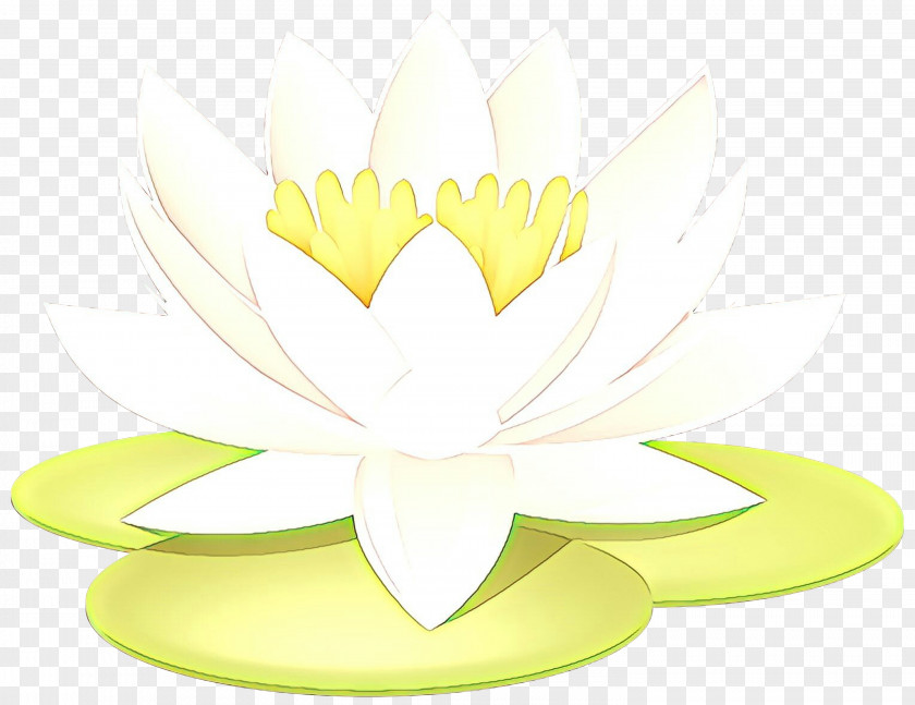 Water Lily Plant Flower Cartoon PNG
