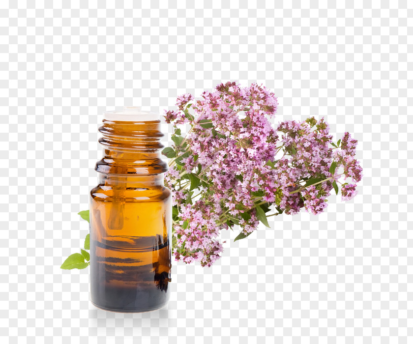 Oil Oregano Marjoram Essential Aromatherapy PNG