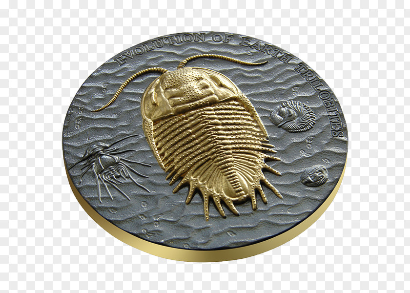 Silver Coin Earth Trilobite Evolution PNG