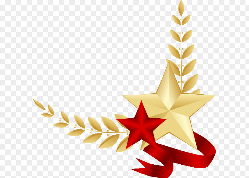 5 Stars Clip Art Victory Day Image Information PNG