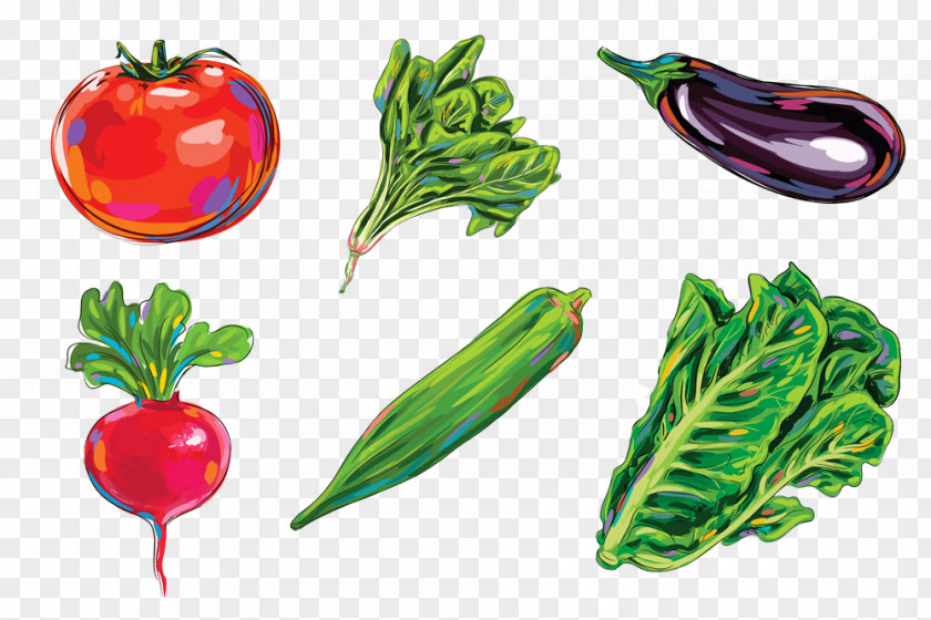 Food Picture 3d Sketch Drawing Eggplant Illustration PNG