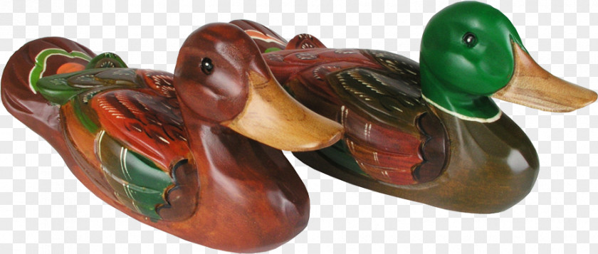 Mandarin Duck Shoe Body Jewellery Beak PNG