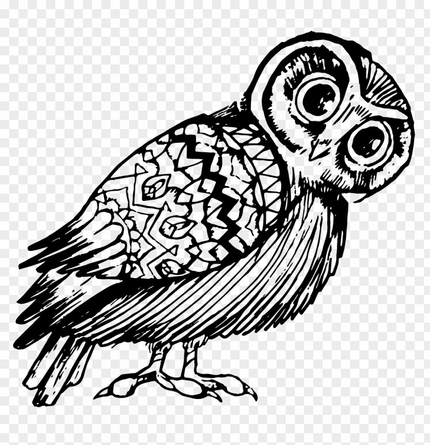 Owl Illustration Line Art Graphic Design PNG