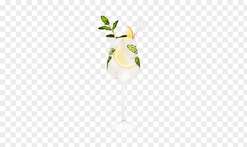 Plant Lime Cocktail Garnish Drink Alcoholic Beverage Champagne Stemware PNG