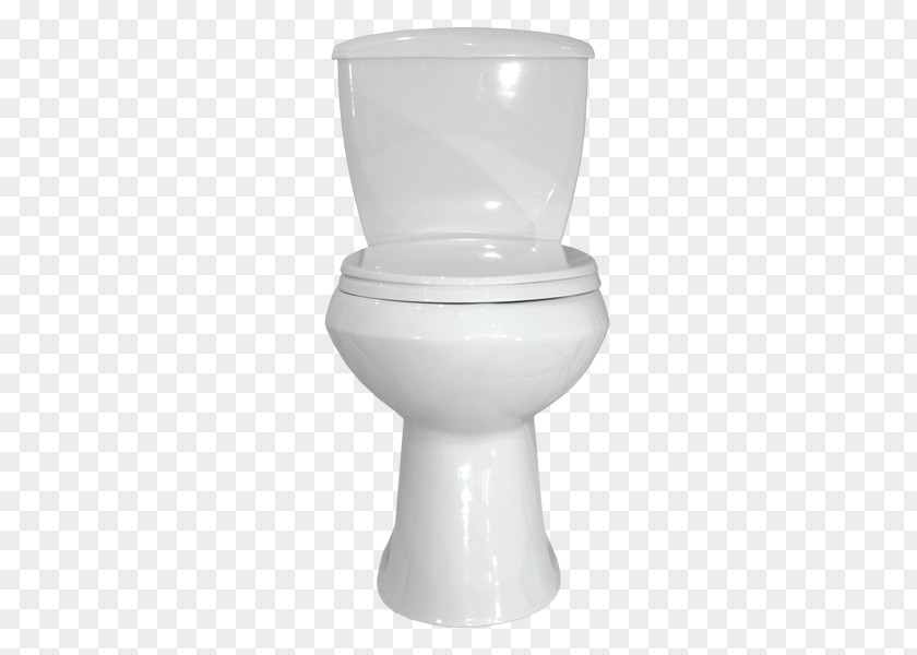 Toilet Seat Flush Ceramic Vsya Santekhnika PNG