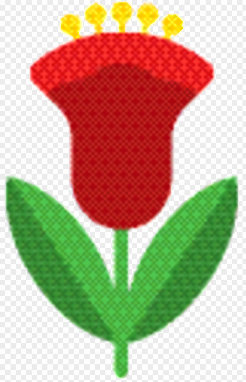 Tulip Flower Rose PNG