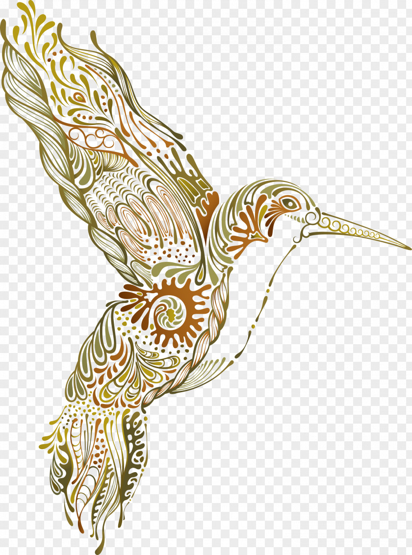 Hummingbird Art Drawing Clip PNG